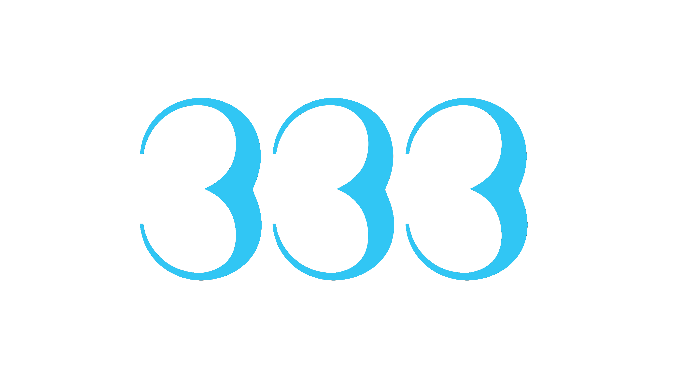 333 logo
